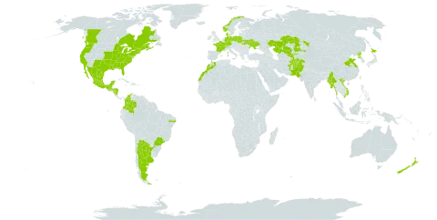 Rosa multiflora world distribution map, present in Afghanistan, Argentina, Brazil, Canada, Switzerland, China, Colombia, Germany, Denmark, Spain, France, Guatemala, Honduras, Japan, Kazakhstan, Morocco, Mexico, Myanmar, Nicaragua, Norway, Nepal, New Zealand, Pakistan, Poland, Korea (Democratic People's Republic of), Portugal, Sao Tome and Principe, Ukraine, United States of America, Uzbekistan, and Viet Nam