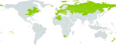 Rosa spinosissima world distribution map, present in Albania, Armenia, Austria, Azerbaijan, Belgium, Bulgaria, Bosnia and Herzegovina, Belarus, Canada, Switzerland, China, Czech Republic, Germany, Denmark, Algeria, Spain, Estonia, France, United Kingdom of Great Britain and Northern Ireland, Georgia, Greece, Croatia, Hungary, Iceland, Italy, Kazakhstan, Liberia, Lithuania, Luxembourg, North Macedonia, Montenegro, Mongolia, Netherlands, Norway, New Zealand, Poland, Romania, Russian Federation, Serbia, Slovakia, Slovenia, Ukraine, United States of America, and South Africa