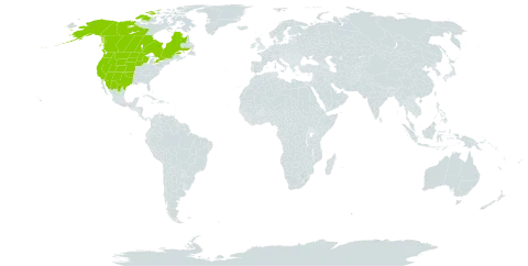 Rosa woodsii world distribution map, present in Canada, Mexico, and United States of America