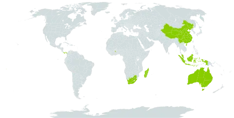 Rourea world distribution map, present in Australia, China, Ghana, Indonesia, Madagascar, Malaysia, Panama, Samoa, and South Africa