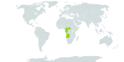 Rourea cassioides world distribution map, present in Angola, Central African Republic, Cameroon, Congo, Gabon, and Equatorial Guinea