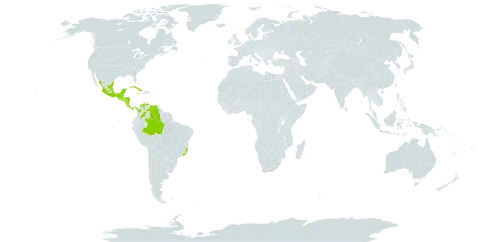 Rourea glabra world distribution map, present in Belize, Brazil, Colombia, Costa Rica, Cuba, Guatemala, Honduras, Jamaica, Mexico, Nicaragua, Panama, El Salvador, Trinidad and Tobago, and Venezuela (Bolivarian Republic of)