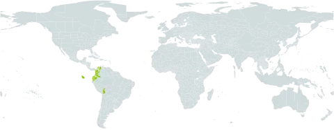 Ruagea pubescens world distribution map, present in Bolivia (Plurinational State of), Colombia, Ecuador, and Venezuela (Bolivarian Republic of)