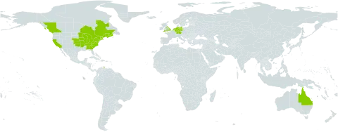 Rubus allegheniensis world distribution map, present in Australia, Canada, Germany, United Kingdom of Great Britain and Northern Ireland, Netherlands, and United States of America