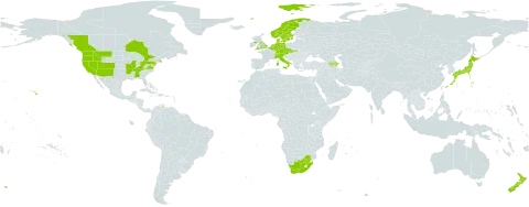 Rubus armeniacus world distribution map, present in Armenia, Austria, Azerbaijan, Belgium, Canada, Switzerland, Czech Republic, Germany, Denmark, France, United Kingdom of Great Britain and Northern Ireland, Italy, Japan, Luxembourg, Netherlands, Norway, New Zealand, Slovakia, Sweden, United States of America, and South Africa