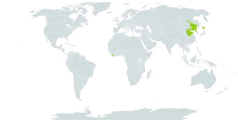 Rubus crataegifolius world distribution map, present in China, Japan, Liberia, and Korea (Democratic People's Republic of)