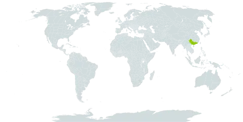 Rubus panduratus world distribution map, present in China