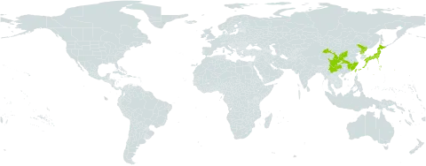 Rubus pungens var. oldhamii world distribution map, present in China, Japan, Korea (Democratic People's Republic of), and Taiwan, Province of China