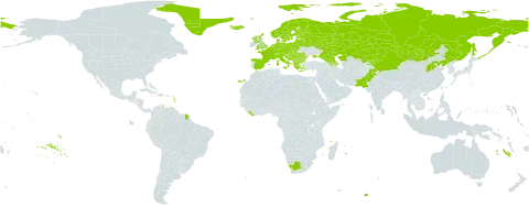 Rubus saxatilis world distribution map, present in Albania, Andorra, Armenia, Austria, Azerbaijan, Belgium, Bulgaria, Bosnia and Herzegovina, Belarus, Switzerland, China, Czech Republic, Germany, Denmark, Spain, Estonia, Finland, France, United Kingdom of Great Britain and Northern Ireland, Georgia, Greece, Greenland, Croatia, Hungary, India, Iceland, Italy, Kazakhstan, Kyrgyzstan, Liberia, Liechtenstein, Lithuania, Luxembourg, Latvia, North Macedonia, Montenegro, Mongolia, Netherlands, Norway, Pakistan, Poland, Romania, Russian Federation, Serbia, Slovakia, Slovenia, Sweden, Ukraine, and South Africa
