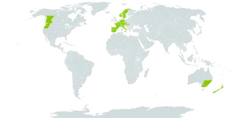Rubus vestitus world distribution map, present in Australia, Austria, Belgium, Canada, Switzerland, Czech Republic, Germany, Spain, France, United Kingdom of Great Britain and Northern Ireland, Hungary, Italy, Luxembourg, Netherlands, Norway, New Zealand, Portugal, Sweden, and United States of America