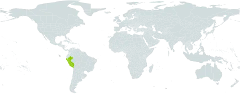 Rudgea psychotriifolia world distribution map, present in Peru