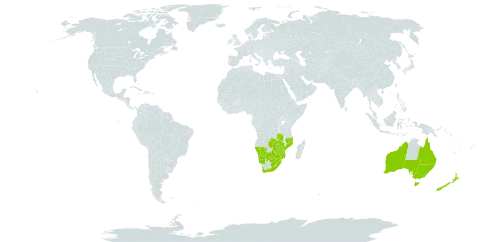 Rumex sagittatus world distribution map, present in Australia, Botswana, Lesotho, Mozambique, Namibia, New Zealand, eSwatini, South Africa, Zambia, and Zimbabwe