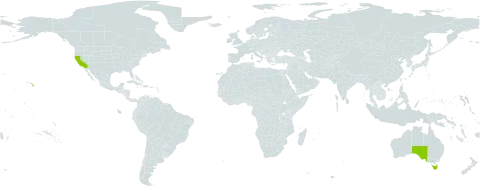 Rytidosperma semiannulare world distribution map, present in Australia and United States of America
