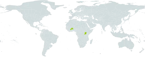 Rytigynia bridsoniae world distribution map, present in Burkina Faso, Rwanda, and Uganda