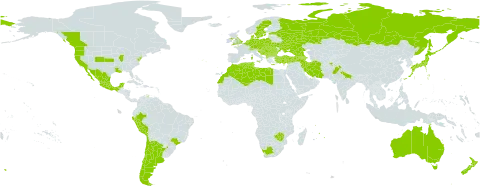 Sagina apetala world distribution map, present in Afghanistan, Albania, Andorra, Argentina, Armenia, American Samoa, Australia, Austria, Azerbaijan, Belgium, Bulgaria, Bosnia and Herzegovina, Brazil, Canada, Switzerland, Chile, Cyprus, Czech Republic, Germany, Denmark, Algeria, Spain, Estonia, France, United Kingdom of Great Britain and Northern Ireland, Georgia, Gibraltar, Greece, Croatia, Hungary, India, Iran (Islamic Republic of), Israel, Italy, Japan, Lebanon, Libya, Liechtenstein, Luxembourg, Morocco, Mexico, North Macedonia, Malta, Montenegro, Mauritius, Netherlands, New Zealand, Pakistan, Peru, Poland, Portugal, Romania, Russian Federation, Serbia, Slovakia, Slovenia, Sweden, Tunisia, Turkey, Ukraine, United States of America, South Africa, and Zimbabwe
