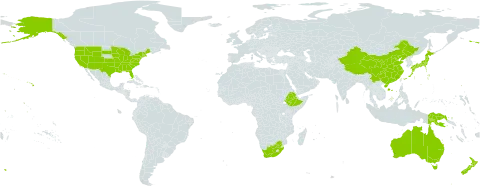 Sagina world distribution map, present in Australia, China, Ethiopia, Japan, New Zealand, Papua New Guinea, United States of America, and South Africa
