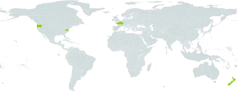 Sagina subulata world distribution map, present in France, New Zealand, and United States of America