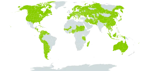 Sagittaria world distribution map, present in Afghanistan, Åland Islands, Argentina, Australia, Austria, Bangladesh, Bulgaria, Bahamas, Belarus, Belize, Bolivia (Plurinational State of), Canada, Switzerland, Chile, China, Cook Islands, Colombia, Costa Rica, Cuba, Cayman Islands, Czech Republic, Germany, Dominica, Denmark, Ecuador, Spain, Finland, Fiji, France, Micronesia (Federated States of), Georgia, Ghana, Gambia, Guinea-Bissau, Greece, Guatemala, Guyana, Honduras, Haiti, Hungary, Indonesia, Ireland, Iran (Islamic Republic of), Iraq, Italy, Jamaica, Japan, Kazakhstan, Kyrgyzstan, Lao People's Democratic Republic, Madagascar, Mali, Myanmar, Montenegro, Malaysia, Nigeria, Nicaragua, Netherlands, Norway, Nepal, Pakistan, Panama, Peru, Philippines, Poland, Puerto Rico, Korea (Democratic People's Republic of), Portugal, Paraguay, Romania, Russian Federation, Sudan, Senegal, Suriname, Sweden, Turks and Caicos Islands, Chad, Thailand, Taiwan, Province of China, Tanzania, United Republic of, Ukraine, Uruguay, United States of America, Uzbekistan, Venezuela (Bolivarian Republic of), and Viet Nam