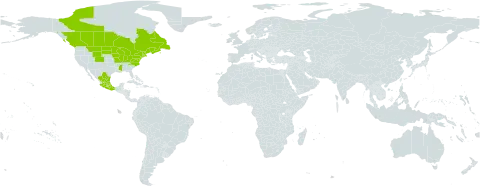 Salix discolor world distribution map, present in Canada, Mexico, and United States of America