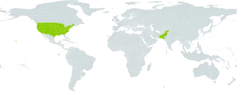 Salsola kali subsp. tragus world distribution map, present in Pakistan and United States of America