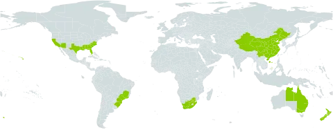Salvinia molesta world distribution map, present in Australia, Brazil, China, New Zealand, United States of America, and South Africa