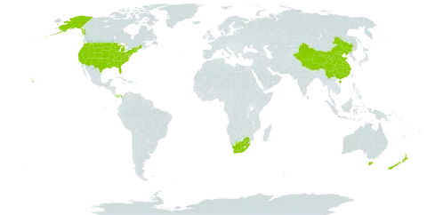 Sambucus world distribution map, present in Australia, China, New Zealand, Panama, United States of America, and South Africa