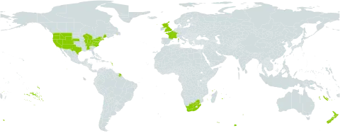 Sanguisorba minor world distribution map, present in France, United Kingdom of Great Britain and Northern Ireland, New Zealand, United States of America, and South Africa
