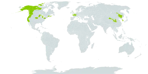 Sanguisorba officinalis world distribution map, present in Canada, China, France, United Kingdom of Great Britain and Northern Ireland, Korea (Republic of), and United States of America