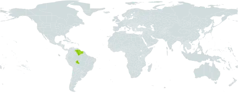 Sauvagesia angustifolia world distribution map, present in Brazil, Guyana, Suriname, and Venezuela (Bolivarian Republic of)