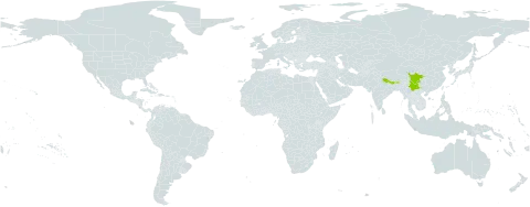 Saxifraga georgei world distribution map, present in Bhutan, China, India, and Nepal
