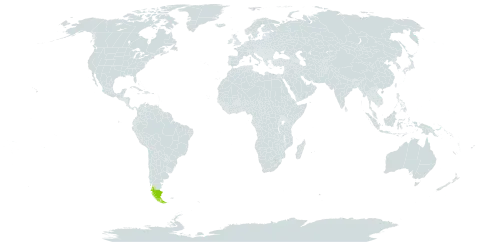 Saxifragodes albowiana world distribution map, present in Argentina and Chile