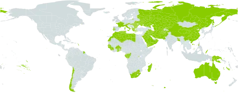 Schoenoplectus litoralis world distribution map, present in Afghanistan, Albania, Andorra, Australia, Austria, Benin, Burkina Faso, Bangladesh, Bulgaria, Chile, China, Congo, Comoros, Djibouti, Algeria, Spain, France, Gabon, Ghana, Guinea, Gambia, Guinea-Bissau, Greece, Hungary, Indonesia, Iran (Islamic Republic of), Iraq, Italy, Kazakhstan, Kyrgyzstan, Libya, Morocco, Madagascar, Montenegro, Oman, Pakistan, Philippines, Palau, Papua New Guinea, Portugal, Romania, Russian Federation, Rwanda, Saudi Arabia, Senegal, Sierra Leone, Turks and Caicos Islands, Turkmenistan, Tunisia, Ukraine, Uzbekistan, Yemen, and South Africa