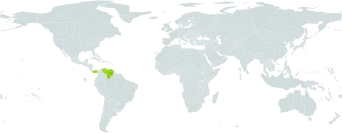 Schradera andina world distribution map, present in Panama and Venezuela (Bolivarian Republic of)