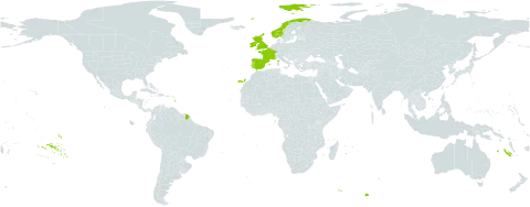 Scilla verna subsp. verna world distribution map, present in Spain, France, United Kingdom of Great Britain and Northern Ireland, Ireland, Norway, and Portugal
