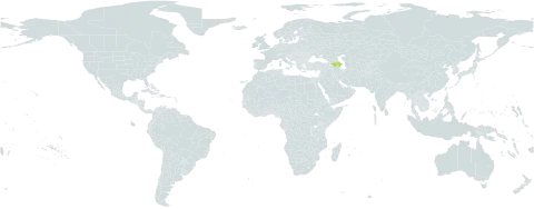 Scrophularia thesioides world distribution map, present in Armenia and Azerbaijan