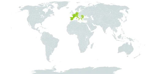 Scutellaria alpina world distribution map, present in Albania, Bulgaria, Switzerland, Germany, Spain, France, Greece, Italy, and Romania