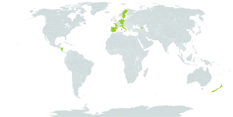 Scutellaria minor world distribution map, present in Åland Islands, Germany, Spain, France, Georgia, Ireland, Italy, Nicaragua, Netherlands, New Zealand, Portugal, and Sweden