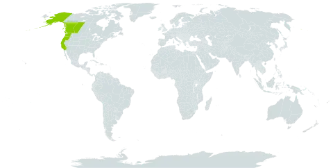 Sedum divergens world distribution map, present in Canada and United States of America