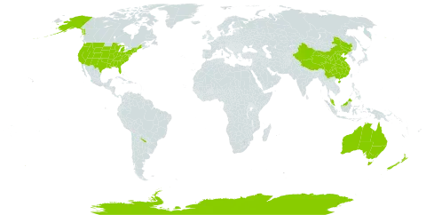 Sedum world distribution map, present in Argentina, Antarctica, Australia, China, Malaysia, New Zealand, Philippines, and United States of America