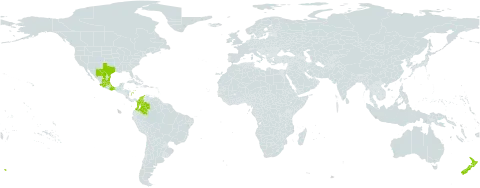 Sedum moranense world distribution map, present in Colombia, Mexico, New Zealand, and United States of America