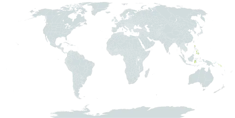 Selaginella cumingiana world distribution map, present in Indonesia, Philippines, and Solomon Islands