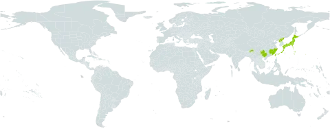 Selliguea engleri world distribution map, present in China, India, Japan, Korea (Democratic People's Republic of), and Taiwan, Province of China