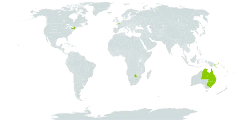 Semecarpus australiensis world distribution map, present in Australia, Botswana, France, Papua New Guinea, Solomon Islands, United States of America, and Vanuatu