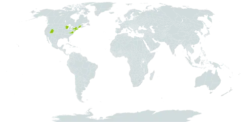 Sempervivum world distribution map, present in United States of America