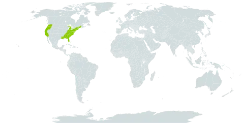 Sericocarpus world distribution map, present in United States of America