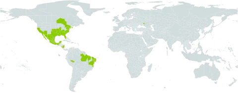 Sesbania herbacea world distribution map, present in Bonaire, Sint Eustatius and Saba, Brazil, Canada, Ghana, Mexico, Nicaragua, Russian Federation, Ukraine, and United States of America