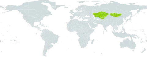 Seseli mucronatum world distribution map, present in Afghanistan, China, Kazakhstan, Kyrgyzstan, Mongolia, Pakistan, Tajikistan, and Uzbekistan