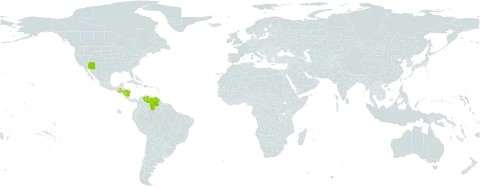 Setariopsis auriculata world distribution map, present in Guatemala, Honduras, Nicaragua, United States of America, and Venezuela (Bolivarian Republic of)