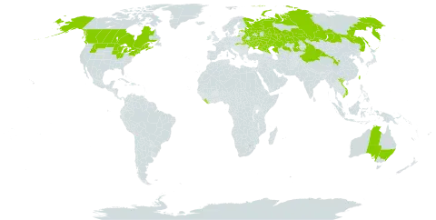 Silene chalcedonica world distribution map, present in Australia, Belarus, Canada, China, Estonia, Kazakhstan, Liberia, Russian Federation, Slovakia, Taiwan, Province of China, Ukraine, United States of America, and Viet Nam