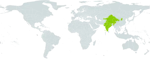 Silene gonosperma world distribution map, present in China, India, Nepal, and Tajikistan